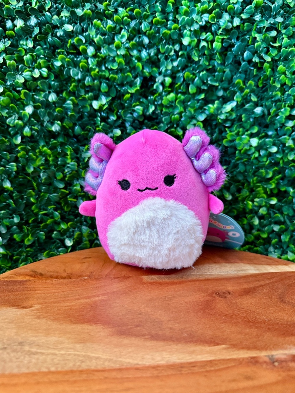 Marissa the Axolotl 5” Mystery Scented Squishmallow